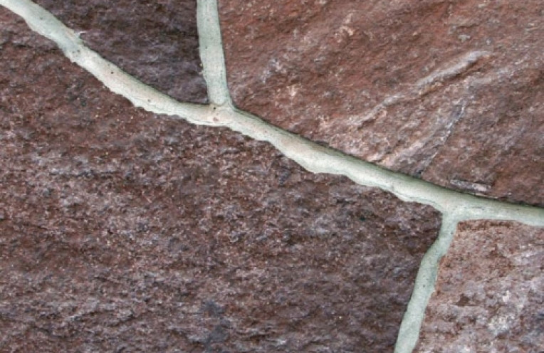 slanetz malinoviy